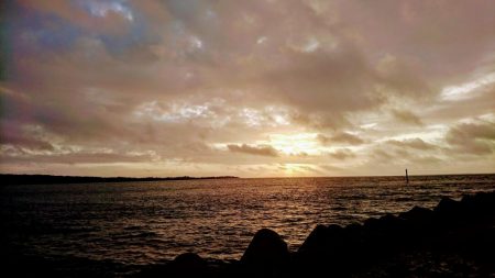 暴風でも活性の高いのはオニカマスだけ