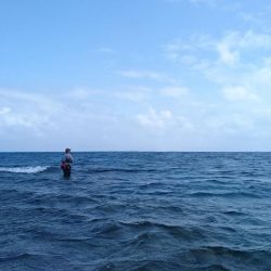 西表島リーフエンド