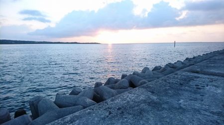 西表島 今日もオニカマス 渋いです。