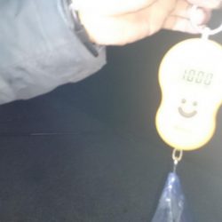 今週も同じ場所で！