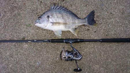 キビレデイゲーム