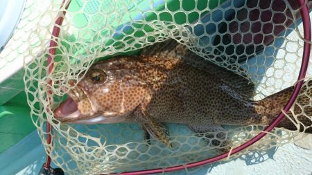 徳島県南タイラバ&ライトジギング