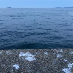 渋いライトゲーム