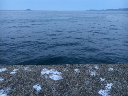 渋いライトゲーム