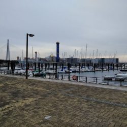 粘ってよかった！