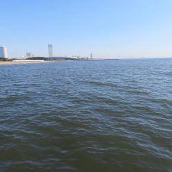 久しぶりの湾奧シーバスをゲット!