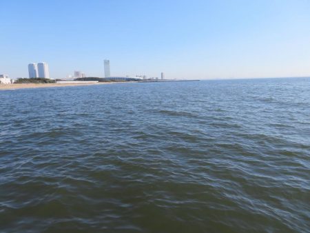 久しぶりの湾奧シーバスをゲット!