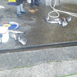 こんなん出ました・・・pt5