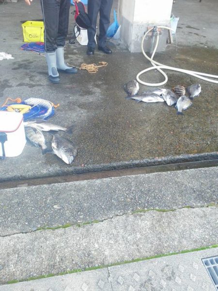 こんなん出ました・・・pt5