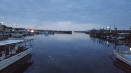 ４月になりました