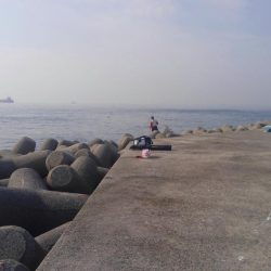 のっこみスタート