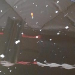 室内釣堀(フナ6匹)