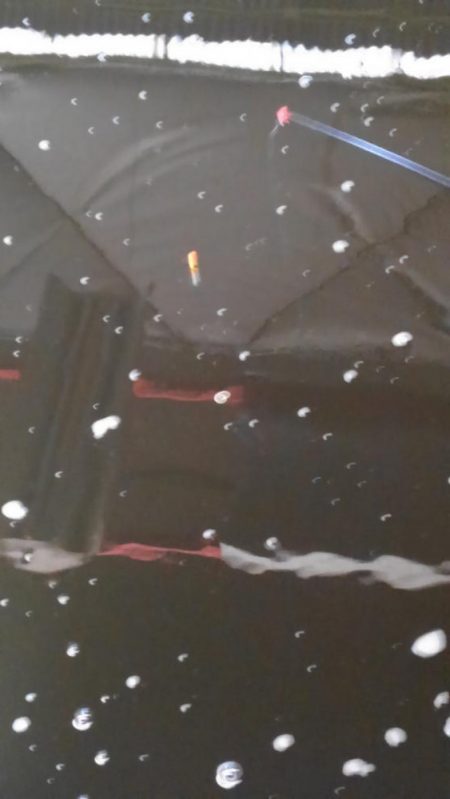 室内釣堀(フナ6匹)