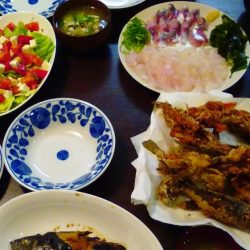 宇和島遠征　最終日