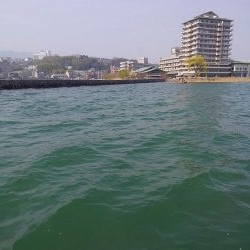 春休みの春バス狙い