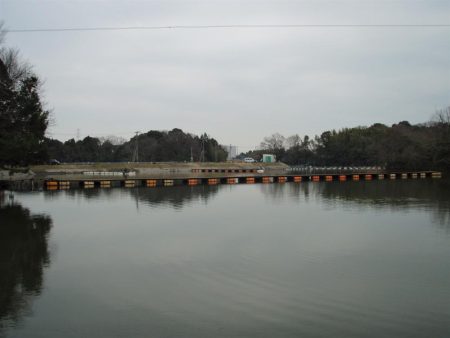 大安トラウトレイク 釣果