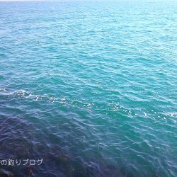 チヌ狙いは撃沈