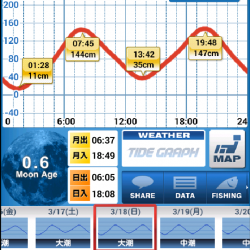 宇和島アジング初日