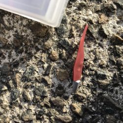 神戸ライトゲーム