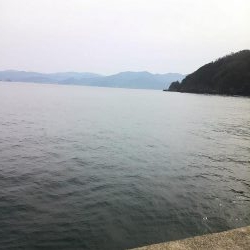 ヤリイカ釣り・・・?