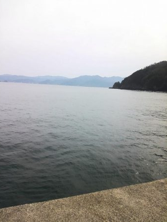 ヤリイカ釣り・・・?