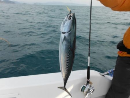 開進丸 釣果