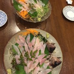 千宝丸 釣果