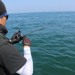へいみつ丸 釣果
