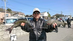 まこと渡船 釣果