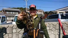 まこと渡船 釣果