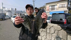 まこと渡船 釣果