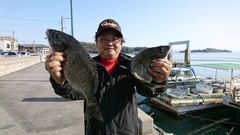 まこと渡船 釣果