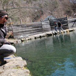 小菅トラウトガーデン 釣果