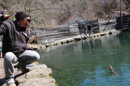 小菅トラウトガーデン 釣果