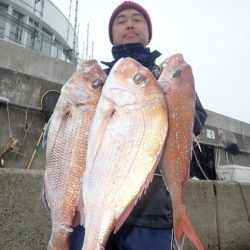 美里丸 釣果