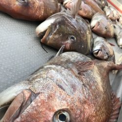 寿裕 （YOSHIHIRO） 釣果