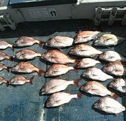 フィッシングガイド りょう 釣果