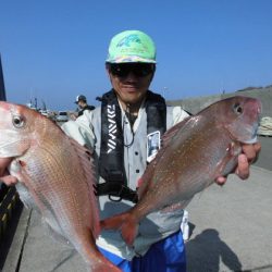 大進丸(新潟) 釣果