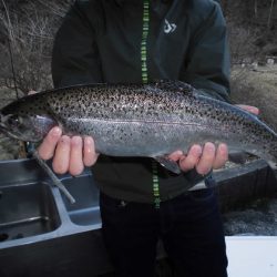 高萩ふれあいの里フィッシングエリア 釣果