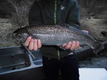 高萩ふれあいの里フィッシングエリア 釣果