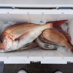 遊漁船高橋 釣果