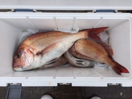 遊漁船高橋 釣果