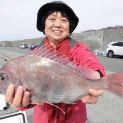 大進丸(新潟) 釣果