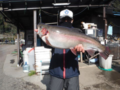すそのフィッシングパーク 釣果
