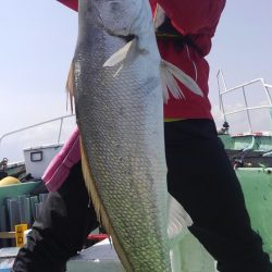 遊漁船 新鋭丸 釣果