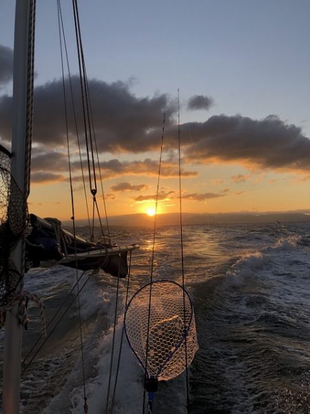 フィッシングボートACE(エース) 釣果