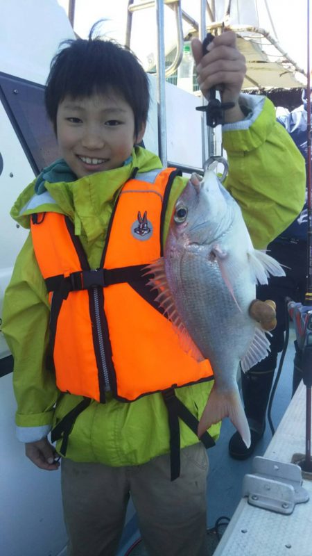 リトルワン 釣果