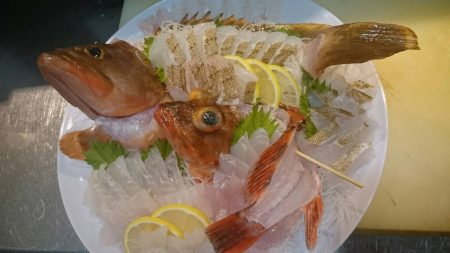 リトルワン 釣果