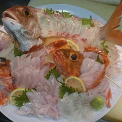 リトルワン 釣果