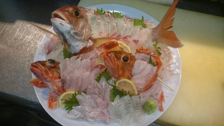 リトルワン 釣果